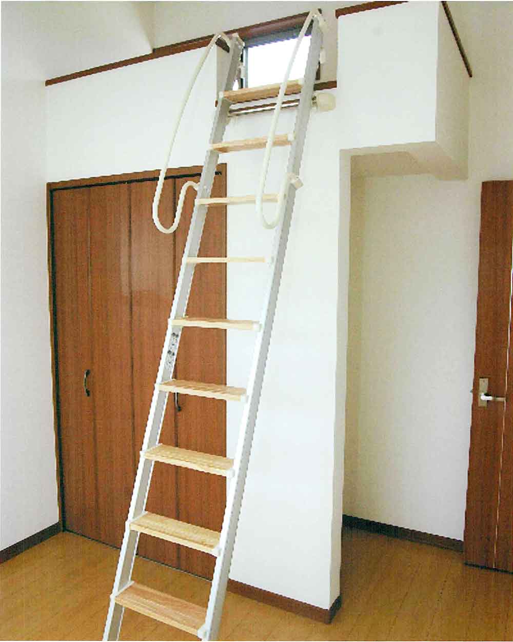 Gallery 43 - 5