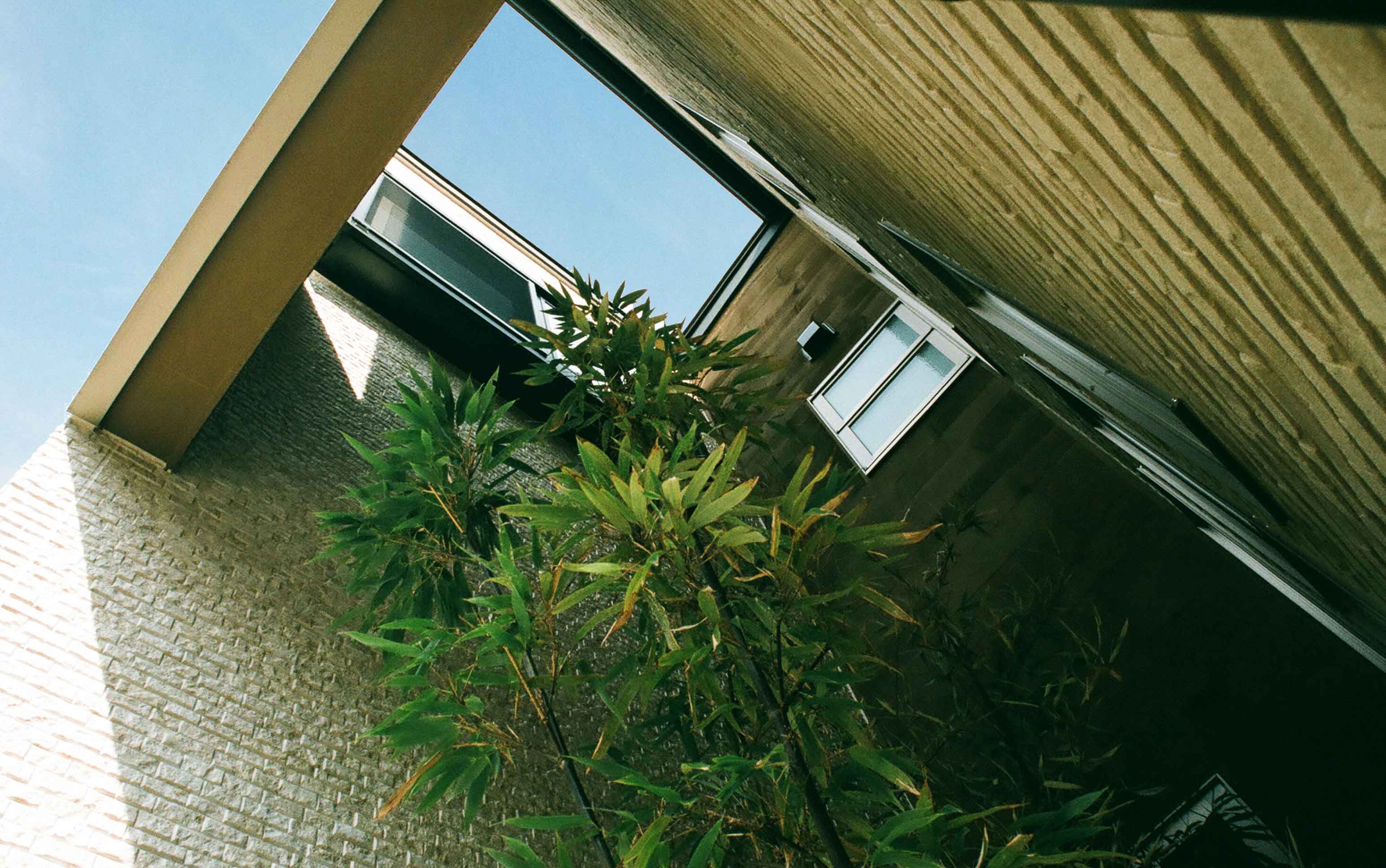 Gallery 70 - 5