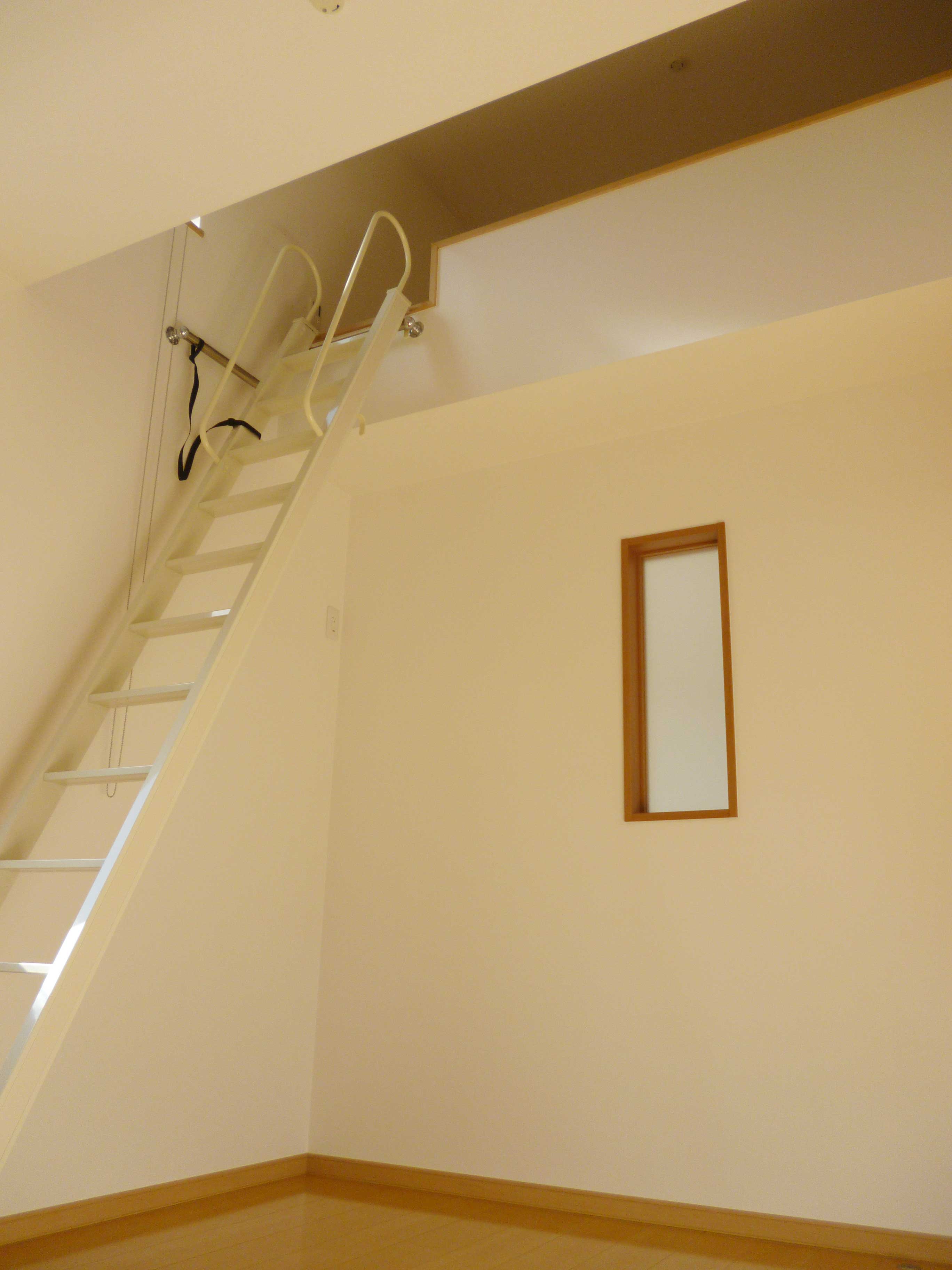 Gallery 54 - 4