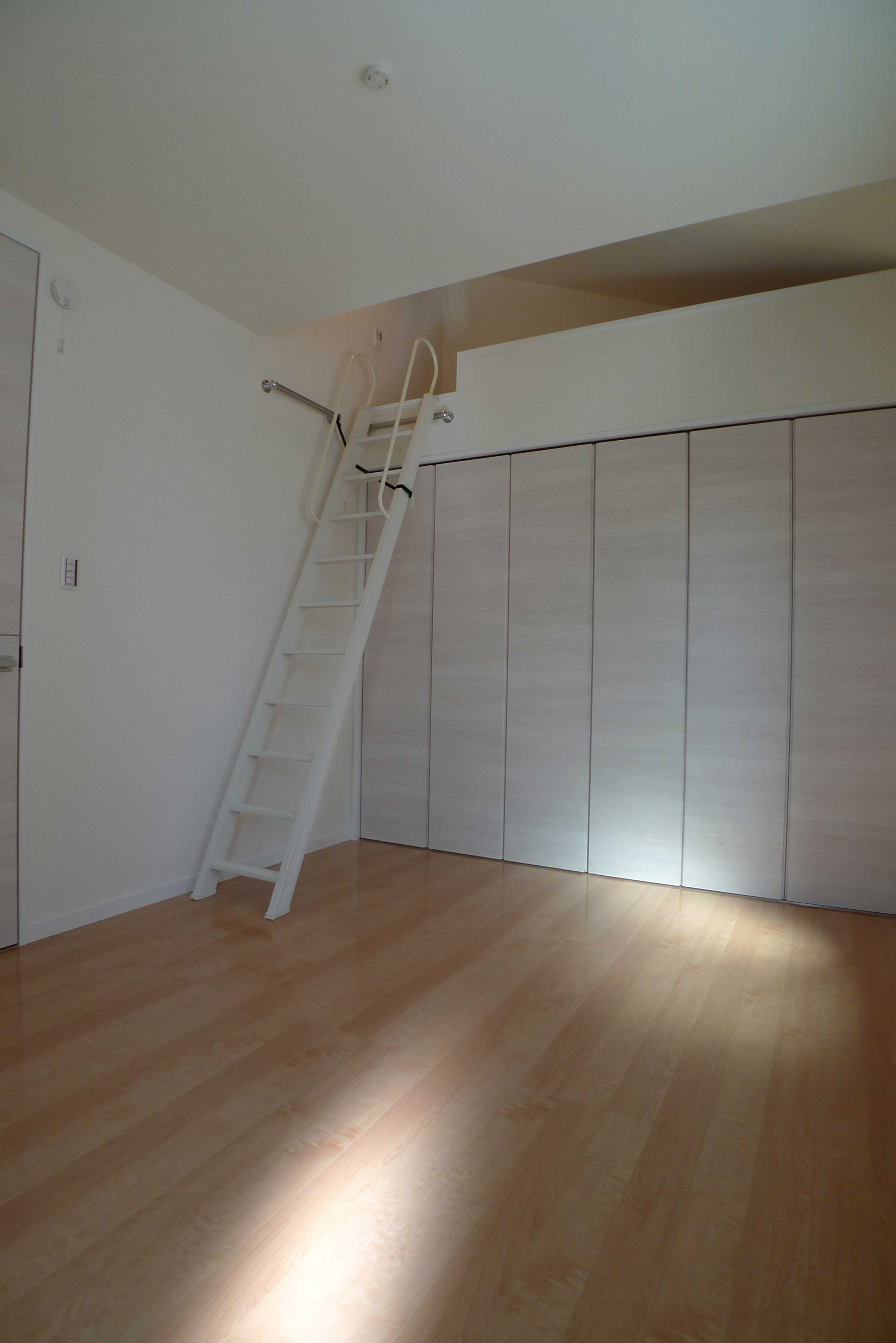 Gallery 55 - 6